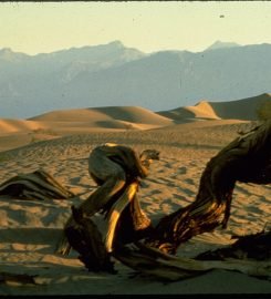 Death Valley National Park