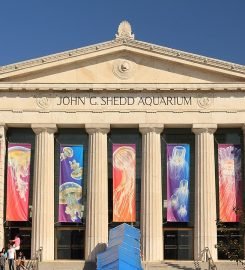 Shedd Aquarium