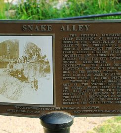Snake Alley