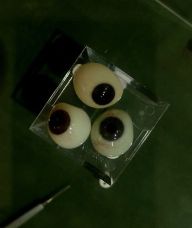 International Museum of Surgical Science