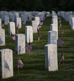 Arlington Cemetery