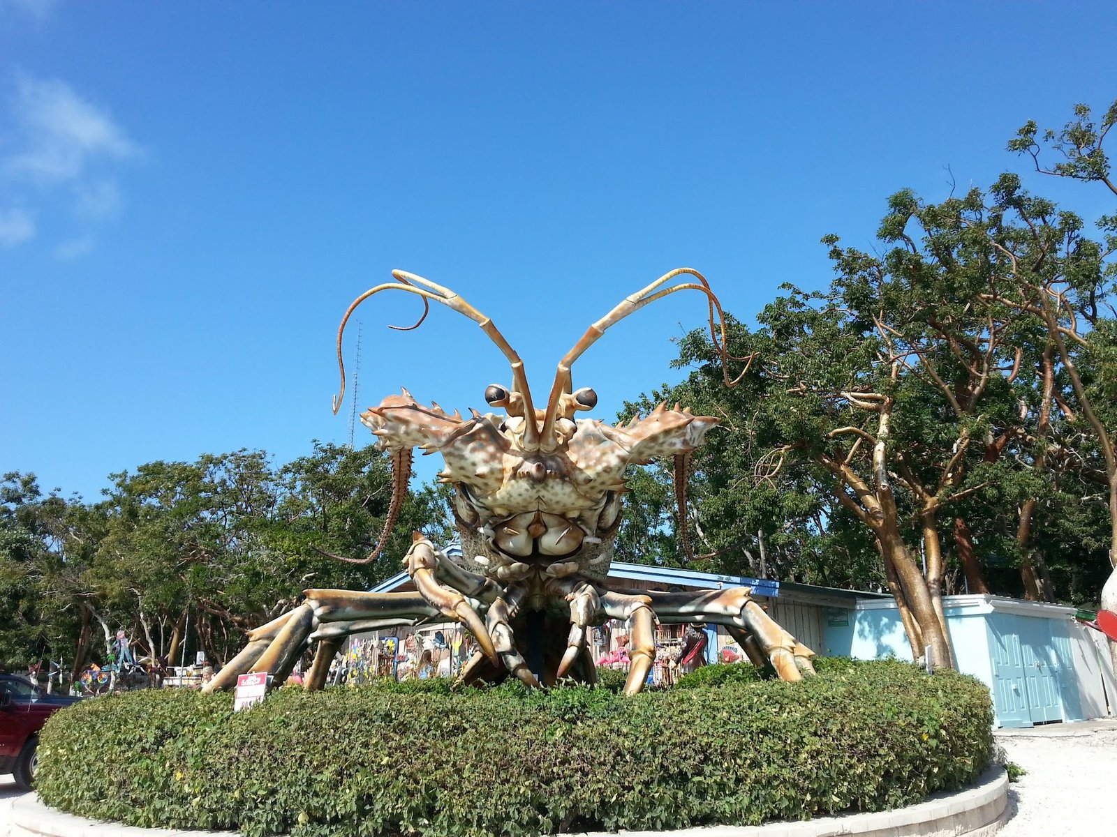 Rain Barrel Islamorada Florida keys giant lobster