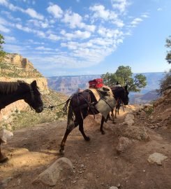 Grand Canyon National Park