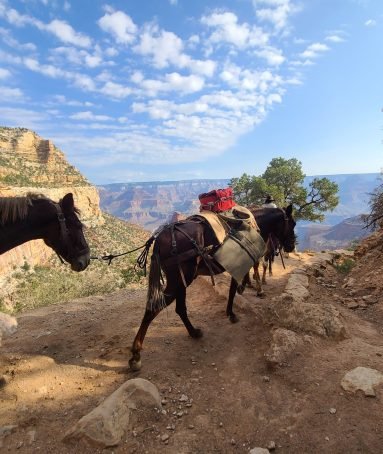 Grand Canyon National Park