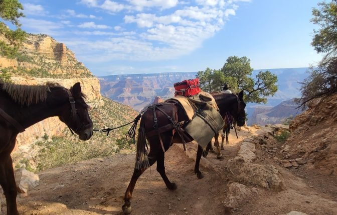 Grand Canyon National Park
