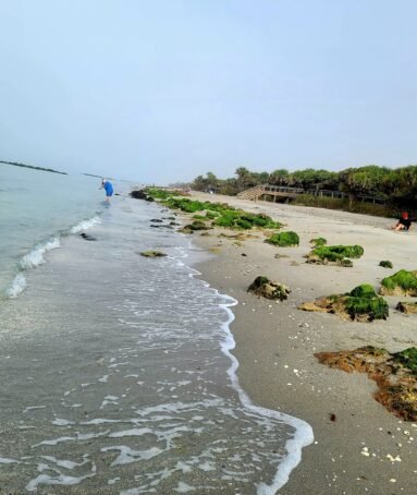 Caspersen Beach