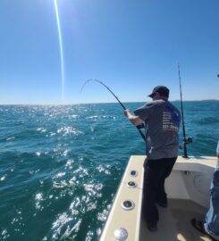 Sea Leveler Sport Fishing Charters