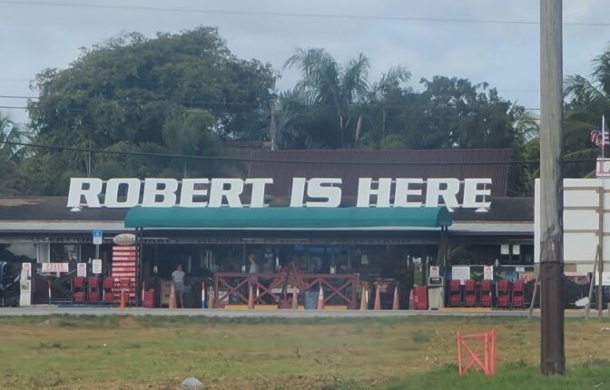 Robert Is Here