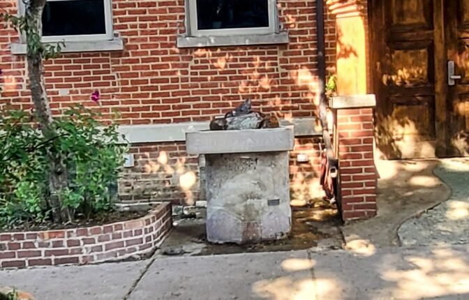 Shit Fountain