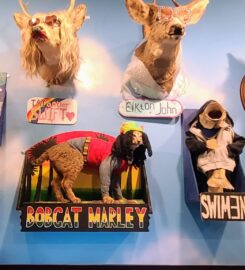 Wacky Taxidermy and Miniatures Museum