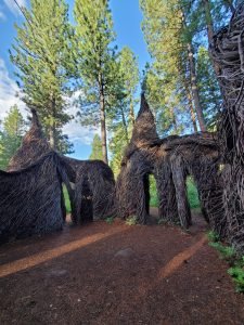 Sculpture in the Wild