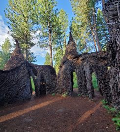 Blackfoot Pathways: Sculpture in the Wild