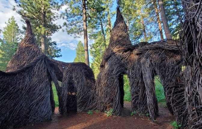 Sculpture in the Wild