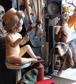 Woolly Mammoth Antiques & Oddities