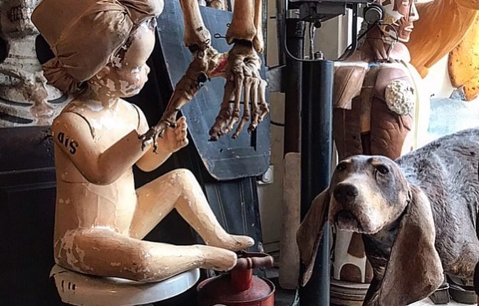 Woolly Mammoth Antiques & Oddities