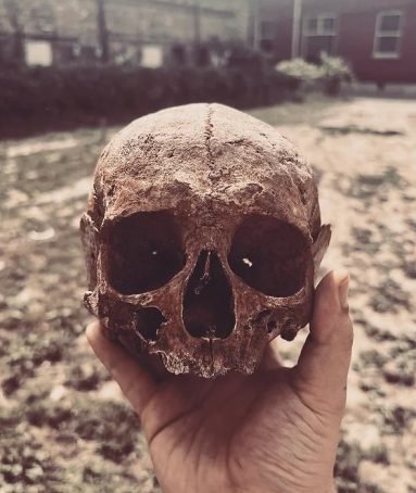 The Michigan Museum of Horror
