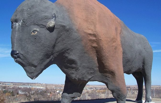 World's Largest Buffalo