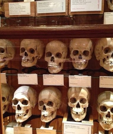 The Mütter Museum at The College of Physicians of Philadelphia