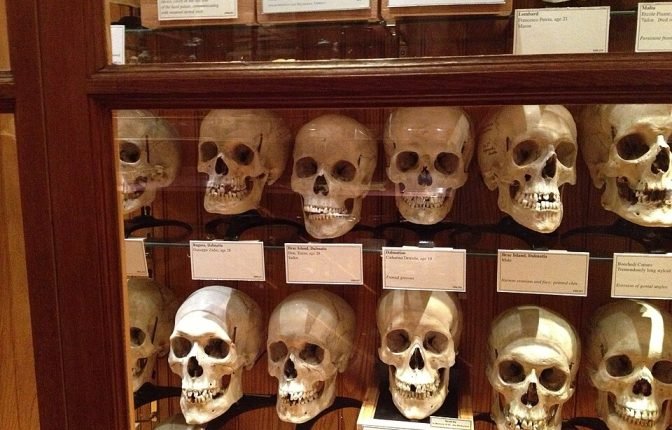 The Mütter Museum at The College of Physicians of Philadelphia