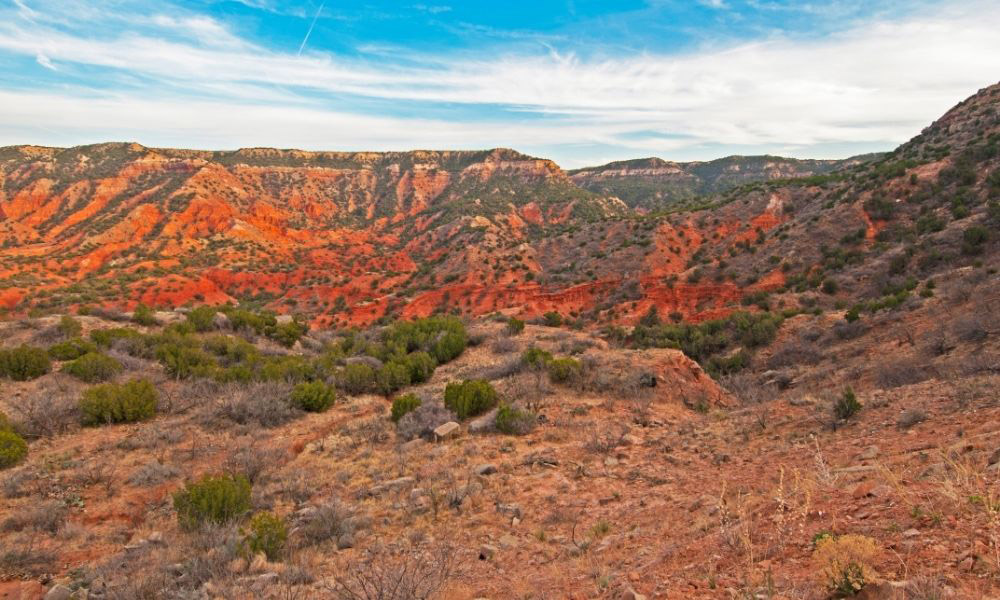 Best places to visit and see in Texas