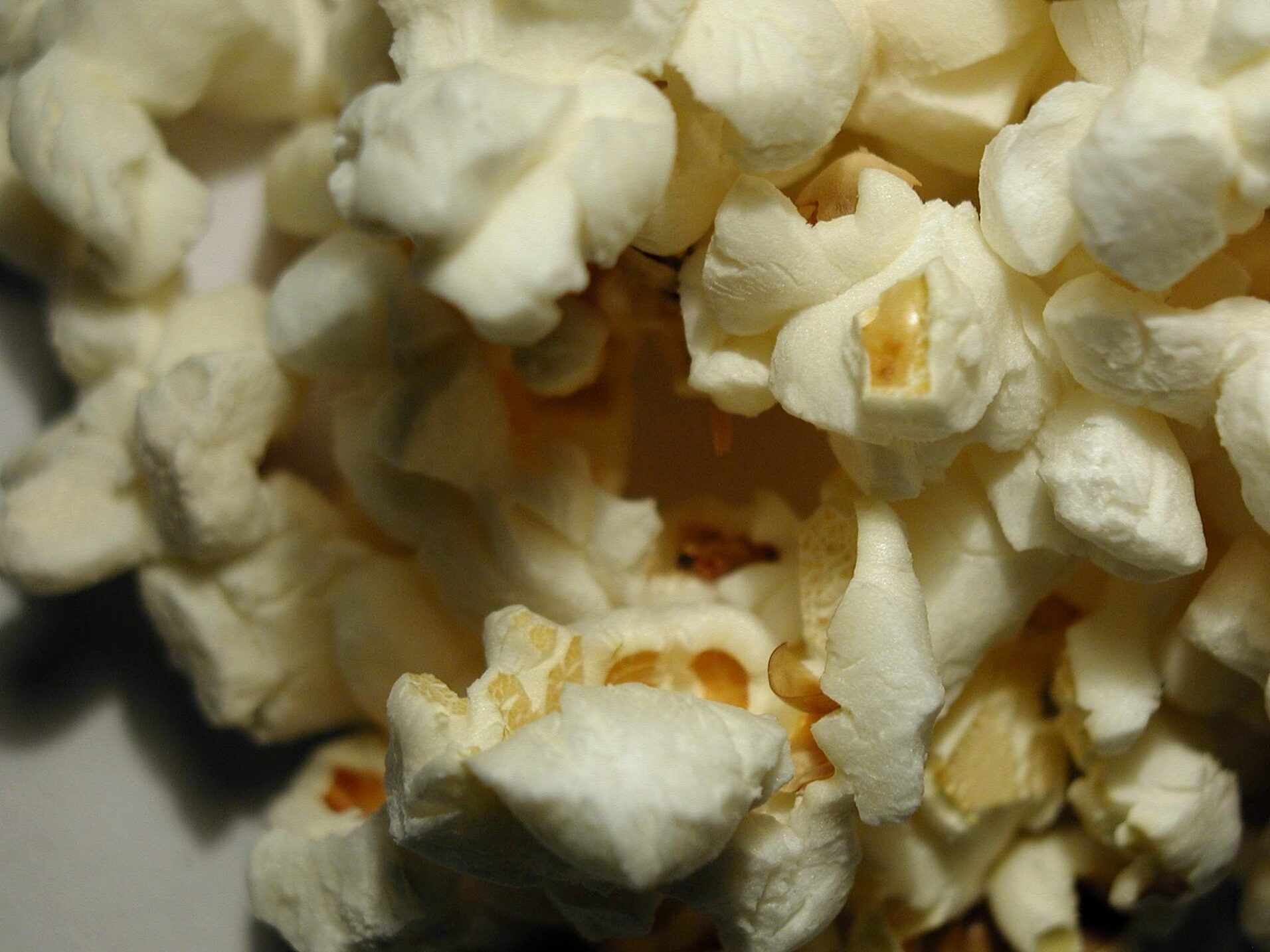 Popcorn Flicks in the Park | 60 Free Things to do in Florida
