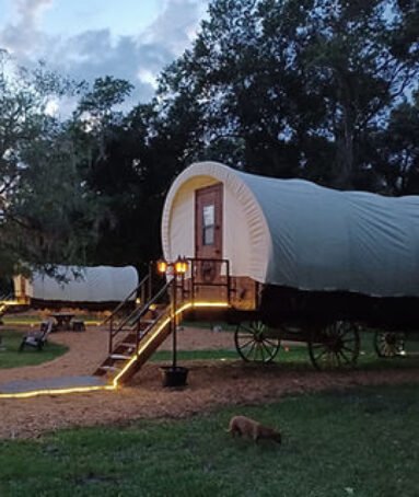 Rooterville Animal Sanctuary