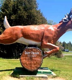 Deer Ranch