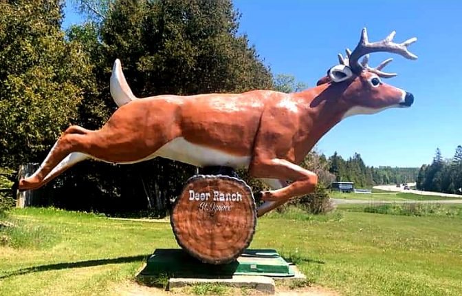 Deer Ranch