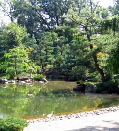 Anderson Japanese Gardens