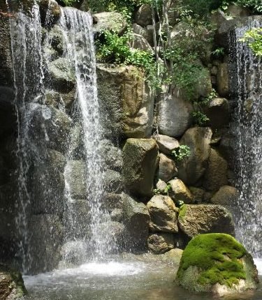 Anderson Japanese Gardens