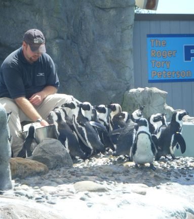 Mystic Aquarium