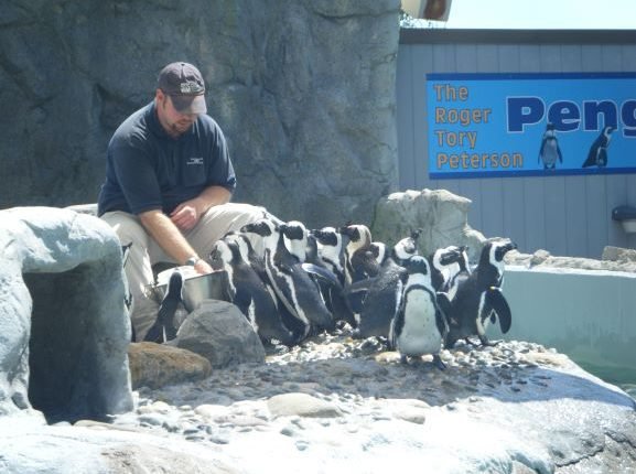 Mystic Aquarium