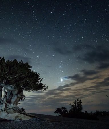 Great Basin National Park