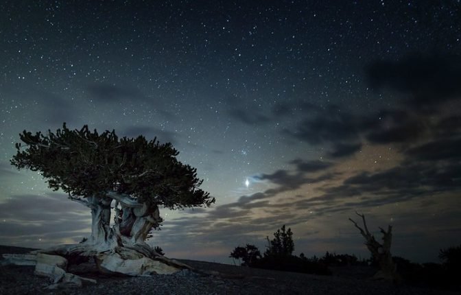 Great Basin National Park