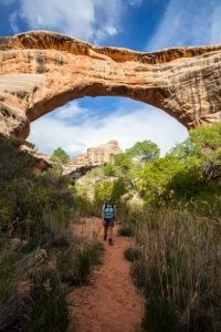 Natural Bridges National Monument