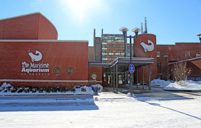 The Maritime Aquarium at Norwalk