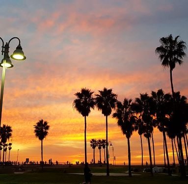 Venice Beach