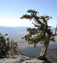 Great Basin National Park