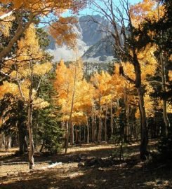 Great Basin National Park