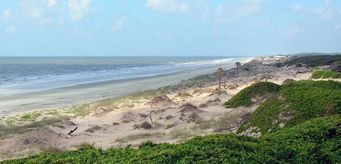 Cumberland Island National Seashore