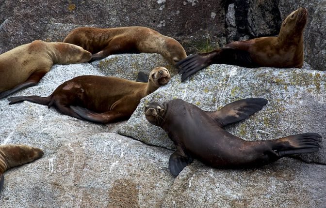 Kenai Fjords National Park