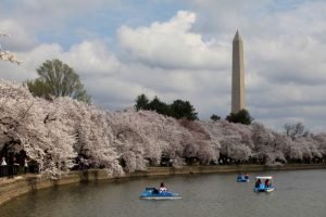 Washington Monument