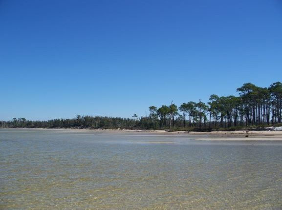 Naval Live Oaks Nature Preserve