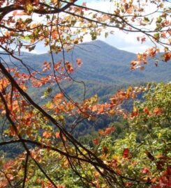 Great Smoky Mountains National Park