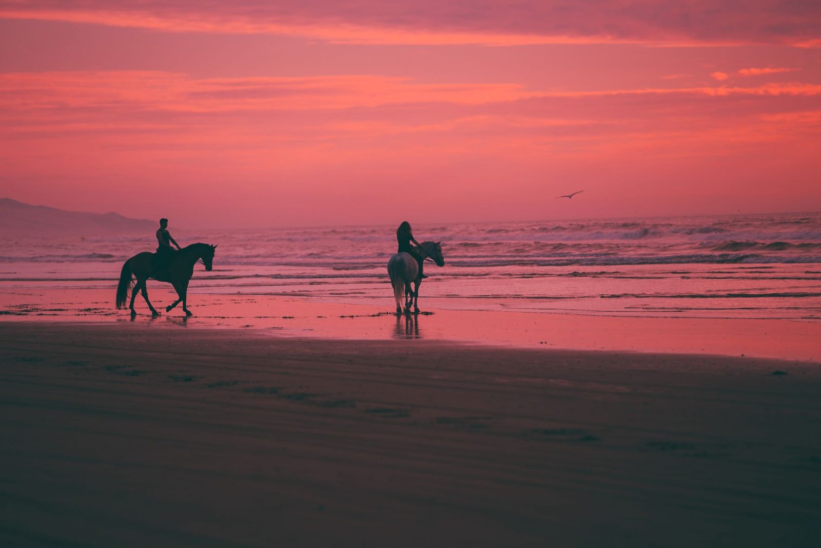Horseback Riding on a Beach