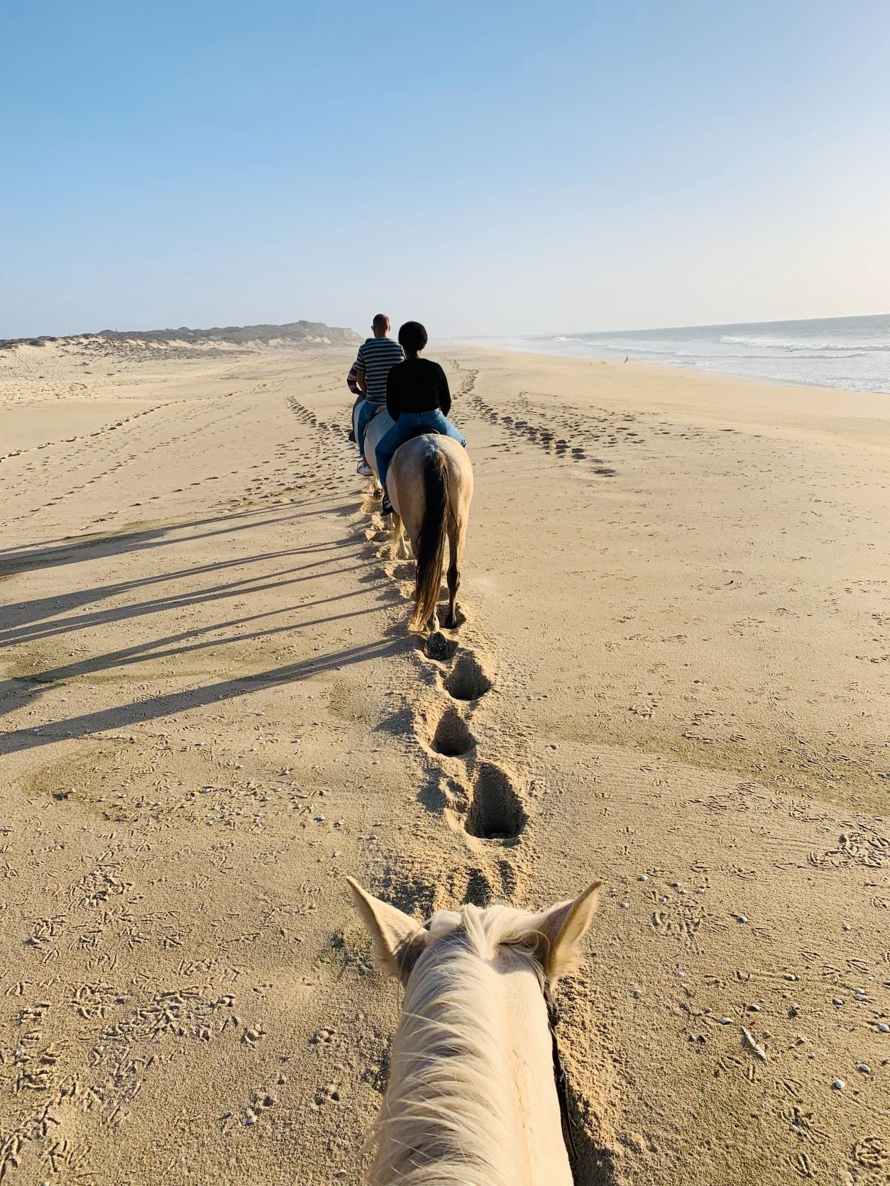 Horseback Riding on a Beach