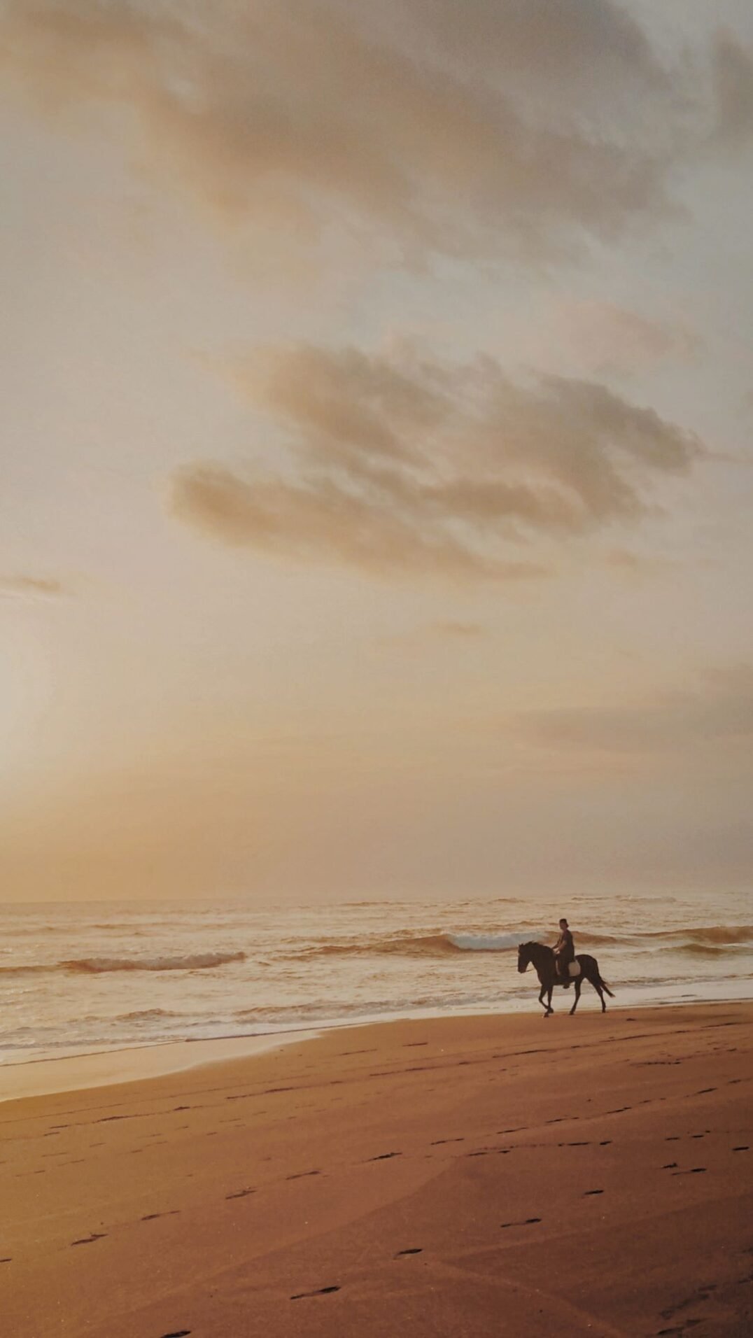 Horseback Riding on a Beach