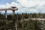 Clingmans Dome. Great Smoky Mountains National Park, Tennessee