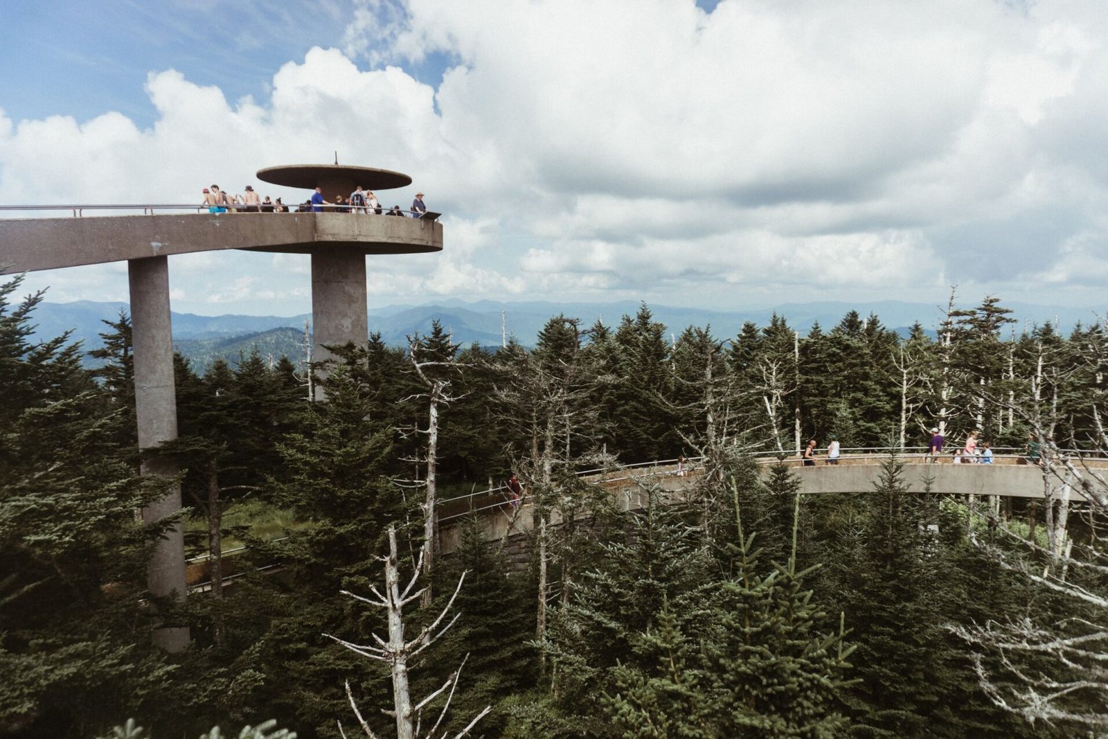 Clingmans Dome. Great Smoky Mountains National Park, Tennessee