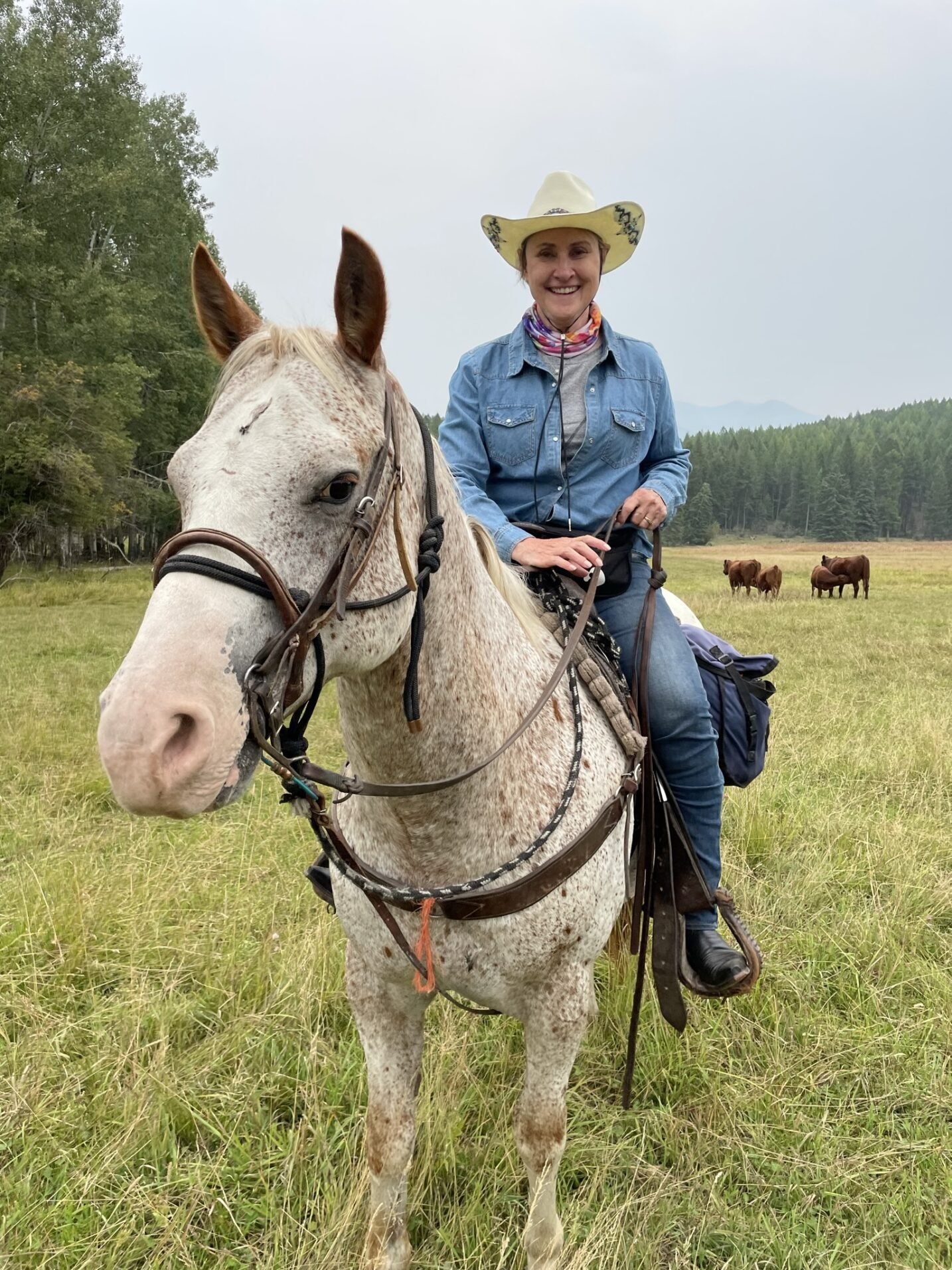 horseback riding